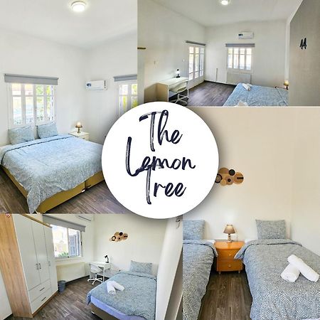 The Lemon Tree Hostel Ларнака Екстериор снимка
